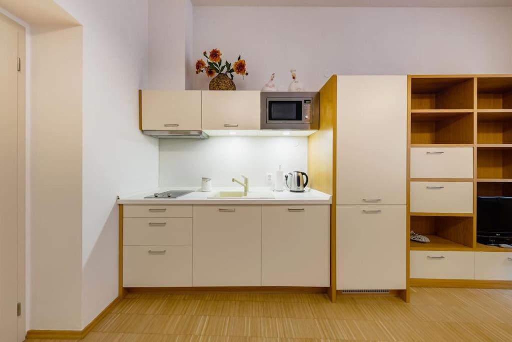 Deluxe Suite In Prime Location プラハ エクステリア 写真